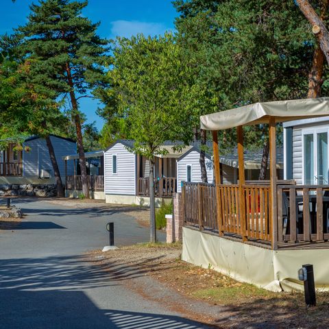 Camping Paradis La Pinède - Camping Alpes-de-Haute-Provence - Image N°4