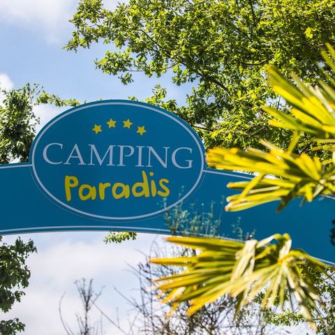 Camping Paradis La Pinède - Camping Alpes-de-Haute-Provence - Image N°3