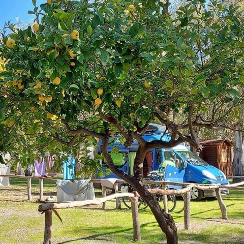 PIAZZOLA - tenda o camper o roulotte