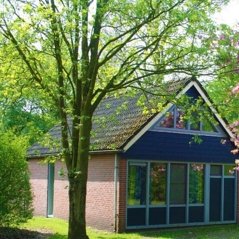 BUNGALOW 4 people - IJssel Comfort