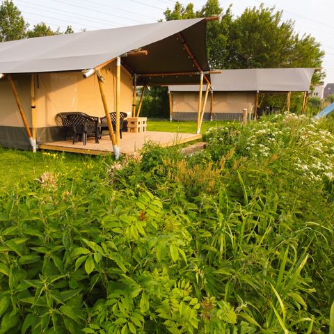 CANVAS AND WOOD TENT 6 people - Safari tent