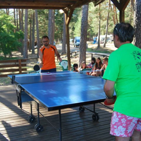 Camping Urbión - Camping Soria - Afbeelding N°4