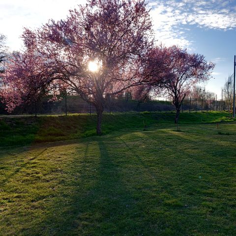 PIAZZOLA - 100m² campo nudo