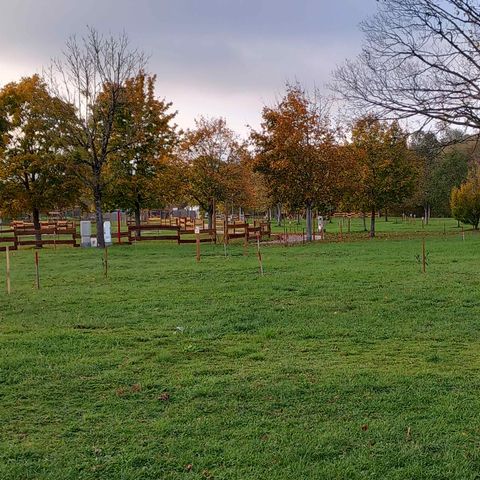 STAANPLAATS - 100m² kale standplaats