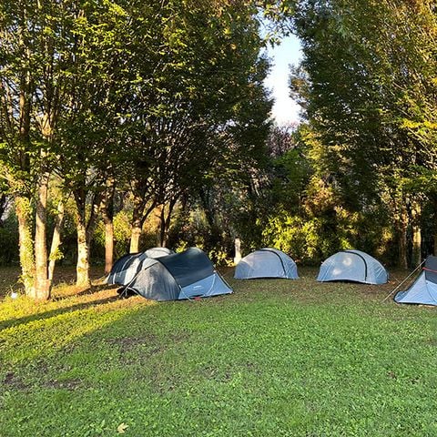 TENDA DA CAMPEGGIO 3 persone - Piazzola per tenda fornita