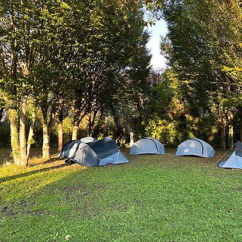 TENT 3 people - Tent pitch provided