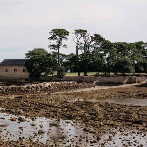 VVF Villages Larmor Baden - Camping Morbihan - Image N°4