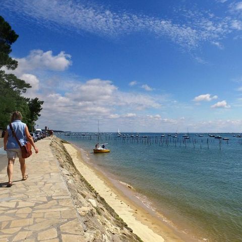 VVF Villages Lège-Cap-Ferret - Camping Gironde - Image N°2