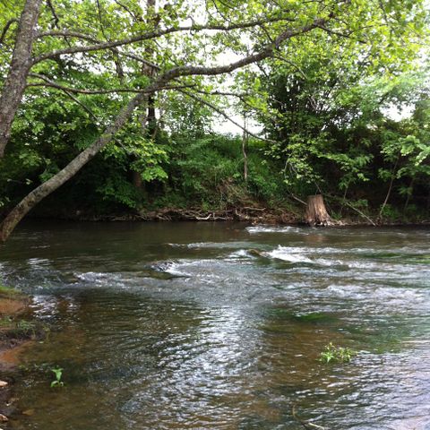 Camping D'auberoche - Camping Dordogne - Afbeelding N°3