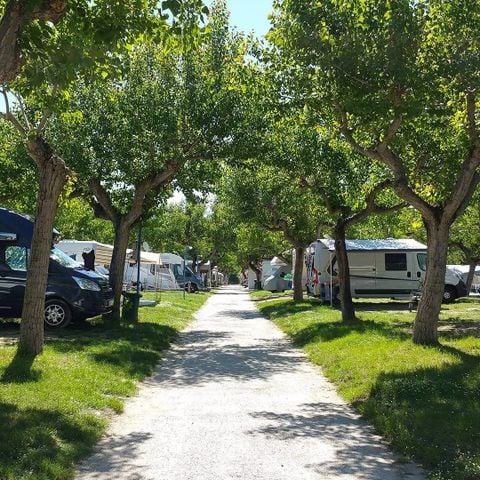 Camping Adria Riccione - Camping Rimini