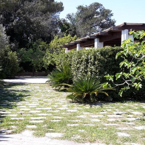 Camping Agriturismo Vignavecchia - Camping Lecce - Afbeelding N°0