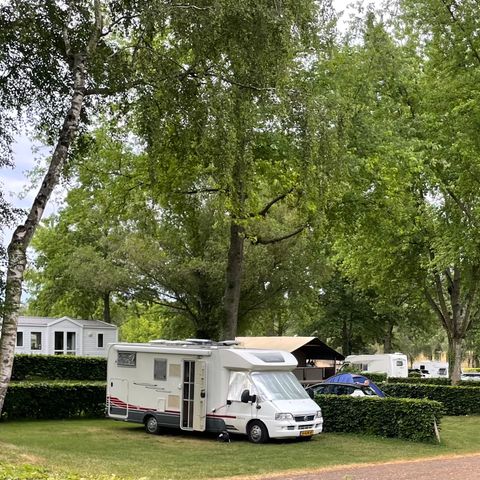 PARCELA - Parcela + 1 vehículo o autocaravana -