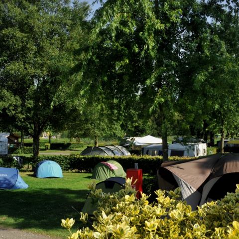 PARCELA - Parcela + 1 vehículo o autocaravana -