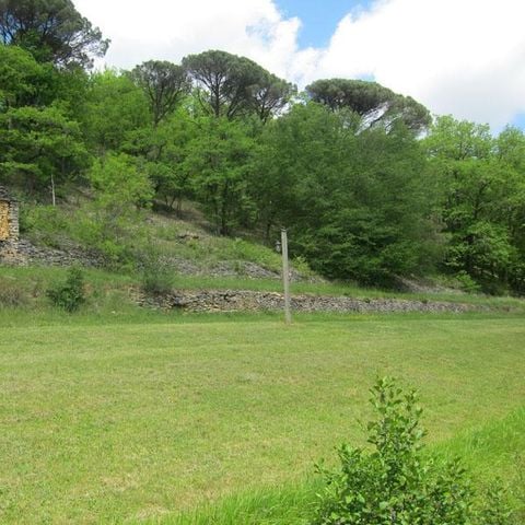 PIAZZOLA - Piazzola (taglia XL) + elettricità 10A +autovettura