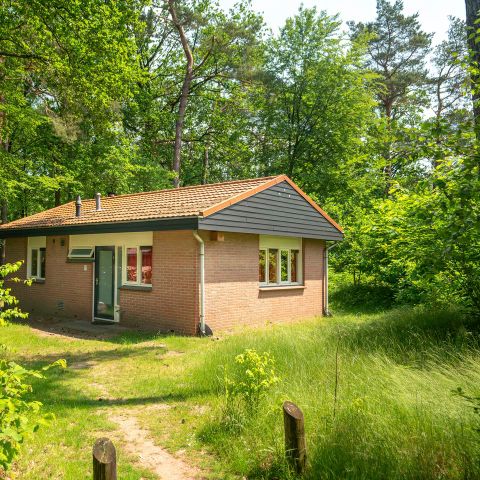 Bungalow 4 personen - 4B