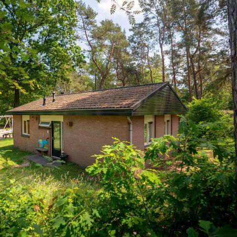 Bungalow 6 personen - 6CK