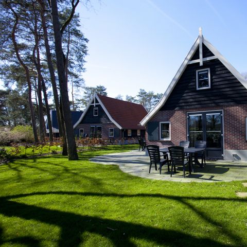 BUNGALOW 8 people - Villa Veluwe