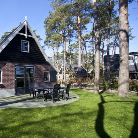 BUNGALOW 8 people - Villa Veluwe