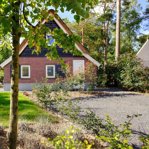 BUNGALOW 6 people - Villa Veluwe