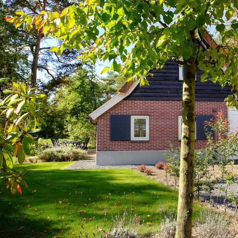 BUNGALOW 6 people - Villa Veluwe