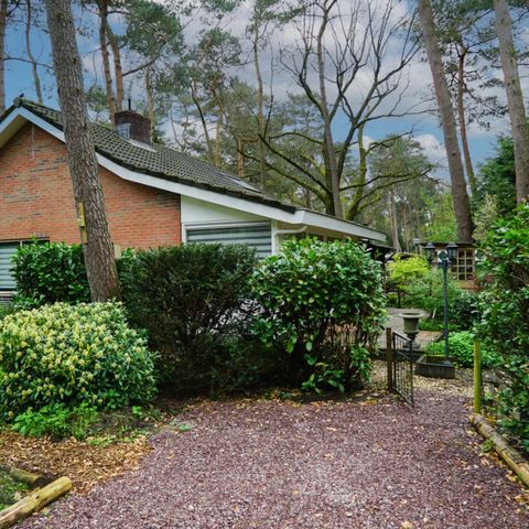 BUNGALOW 6 personnes - Maison forestière