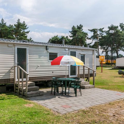 MOBILHOME 4 personnes - Forêt de chats