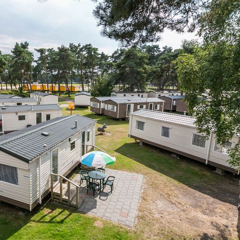 MOBILHOME 4 personnes - Forêt de chats