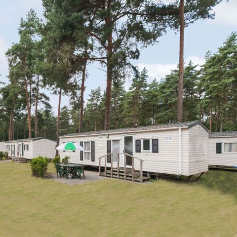 MOBILHOME 6 personnes - Forêt de chats