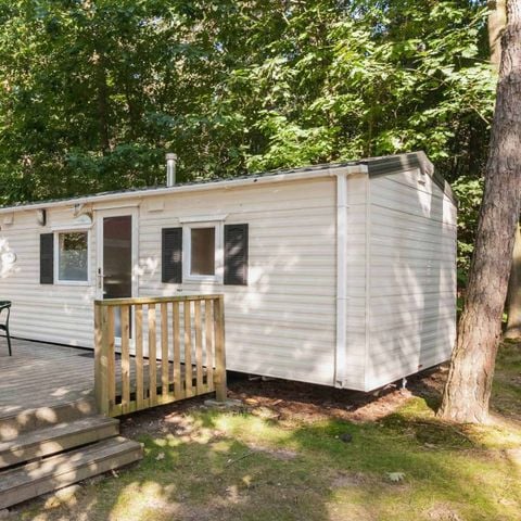 MOBILE HOME 4 people - Veluwe