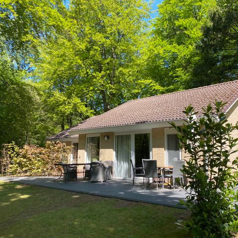 BUNGALOW 4 personnes - Marron