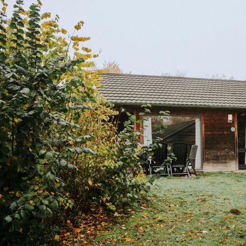 BUNGALOW 6 personnes - Damhert avec sauna