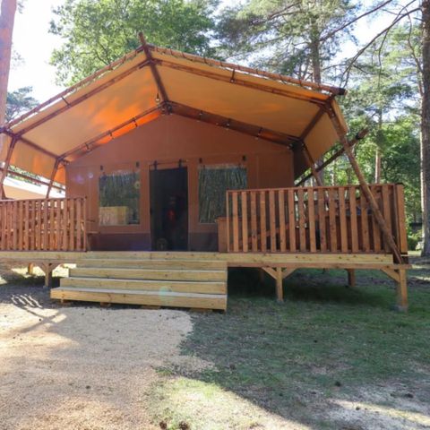 BUNGALOW 4 people - tent Lodgetent