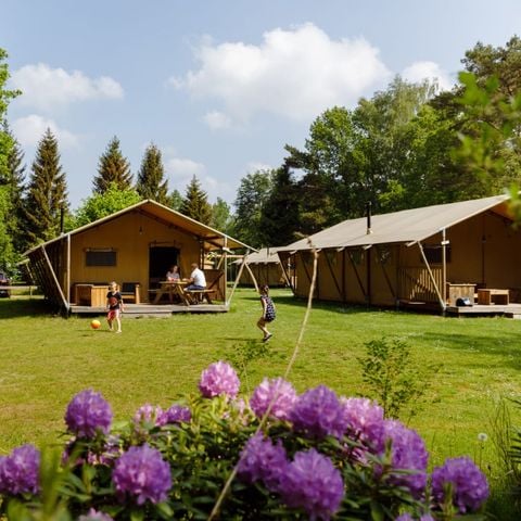 CANVAS AND WOOD TENT 7 people - Wold Lodge safari tent