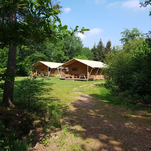 CANVAS AND WOOD TENT 6 people - the Wold Lodge