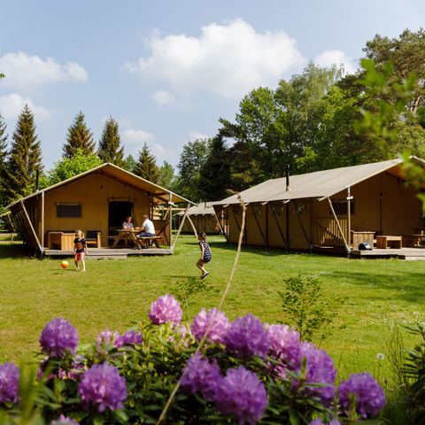 CANVAS AND WOOD TENT 6 people - the Wold Lodge