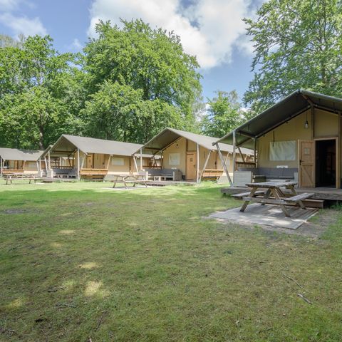 CANVAS AND WOOD TENT 6 people - Rozenburg