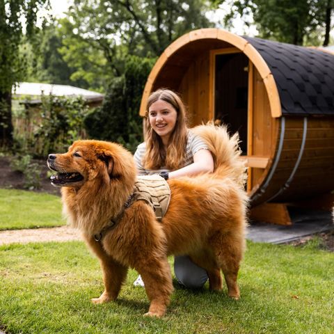 BUNGALOW 4 people - Birch Lodge Eco with Sauna