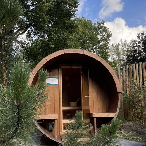 Bungalow 4 personen - Tiny Lodge Eco met Hottub of Jacuzzi en Sauna