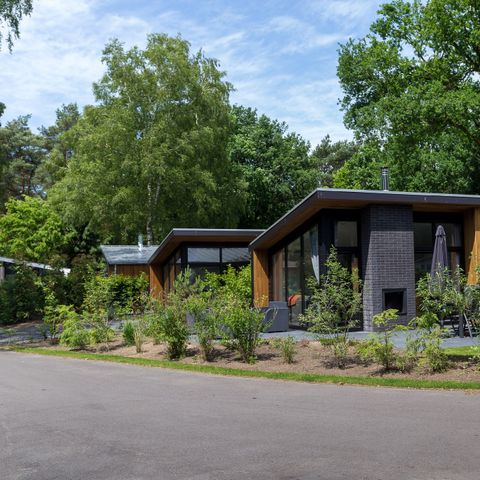 BUNGALOW 4 people - Forest Lodge 55 Eco with hot tub