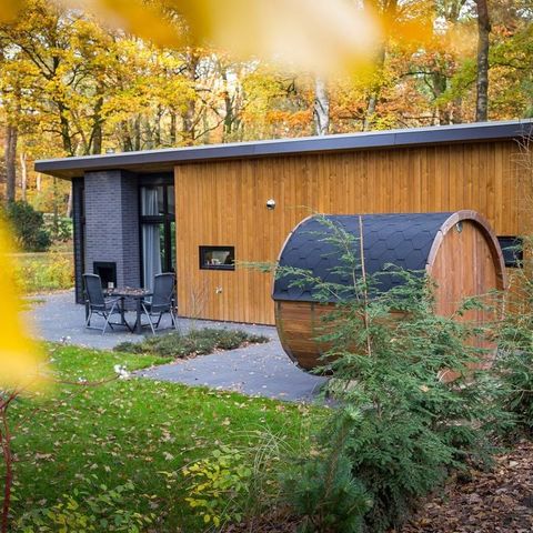 Bungalow 4 personen - Bos Lodge 55 Eco met Sauna