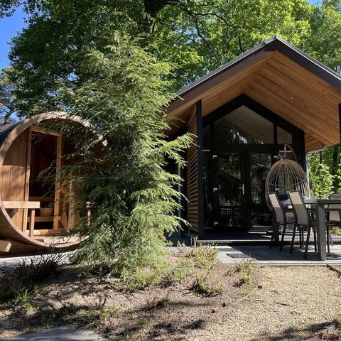 Bungalow 4 personen - Tiny Lodge Eco met Sauna