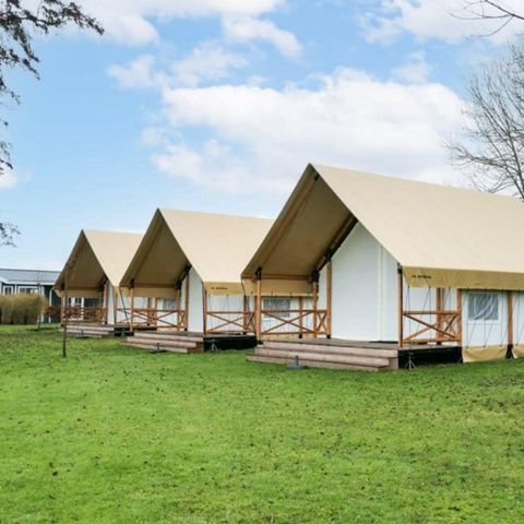 ZELT 6 Personen - Glamping-Zelt 6