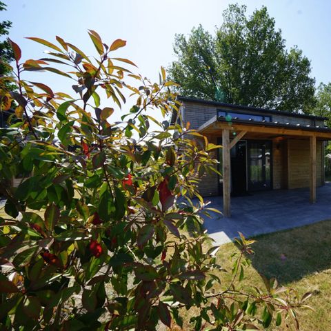 BUNGALOW 4 people - Tiny house Plus