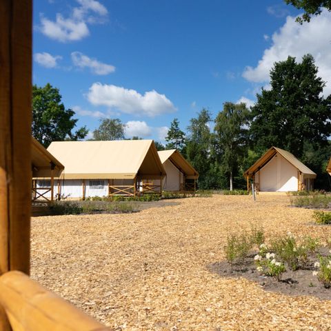 CANVAS AND WOOD TENT 4 people - Pebble Lodge 4