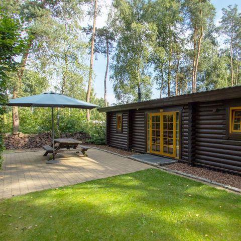 BUNGALOW 4 personnes - Boekhorst