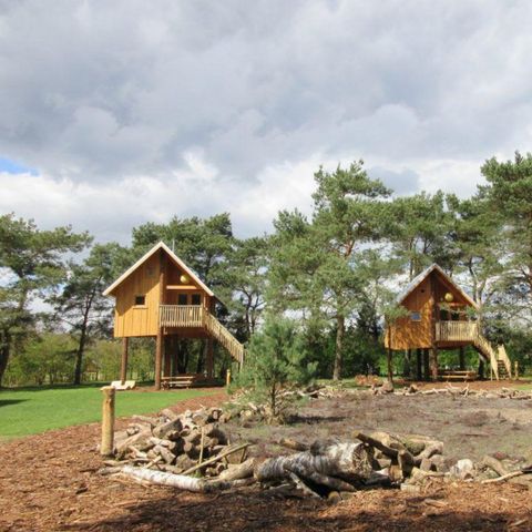 HÉBERGEMENT INSOLITE 5 personnes - Cabane de hobo à l'altitude 5