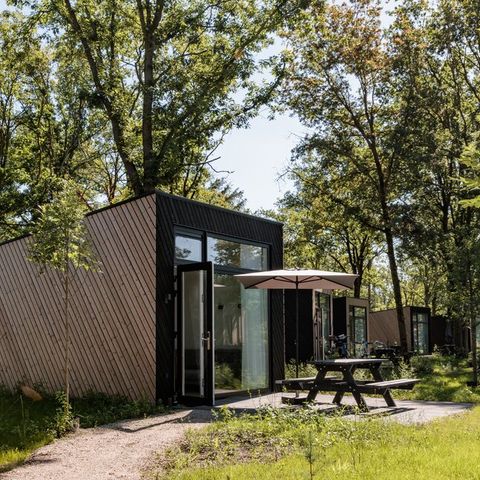 LODGE 6 people - Lodge Forest Cabin