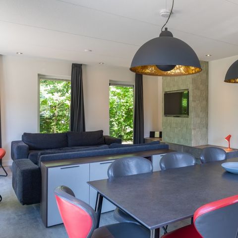 VILLA 8 people - Duinbraam - Tempelierweg, Den Burg