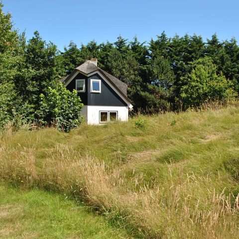 HOUSE 8 people - Tawny owl - Krimweg, De Cocksdorp