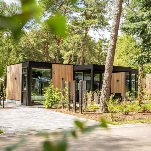 HOUSE 4 people - Veluwe farmstead